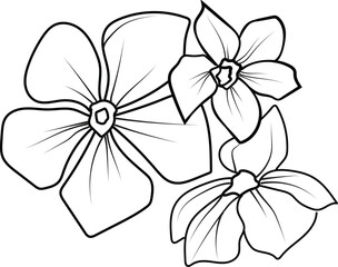 periwinkle flower sketch, clip art minimilist periwinkle flower outline, simple Catharanthus line drawings, simple periwinkle flower drawing, pencil sketch sadabahar flower drawing
