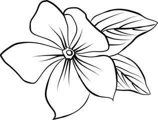 periwinkle flower sketch, clip art minimilist periwinkle flower outline, simple Catharanthus line drawings, simple periwinkle flower drawing, pencil sketch sadabahar flower drawing