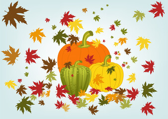 Une carte d'automne avec des citrouilles, des potiron et des feuilles d'&eacute;rable aux couleurs d'automne.