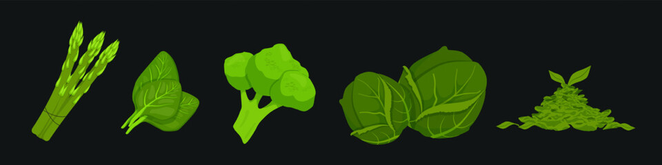 Green vegetables antioxidants. Juicy broccoli and brussels sprouts with salad for vegan and veg vector food - obrazy, fototapety, plakaty
