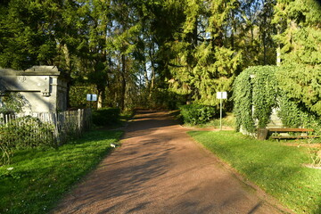 Chemin ombragé en gravier rouge brique sous la végétation luxuriante de l'arboretum du domaine de Mariemont à Morlanwelz 