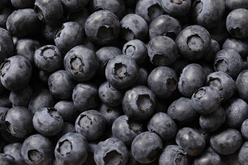 blueberries close up