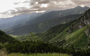 View from the Kondracka Pass to the Kondratowa Valley in the Tatra 