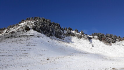 Fototapeta na wymiar Randonnée le 11/11/2023 dans le Vercors avec les premières neiges, sur le plateau de la Molière, France