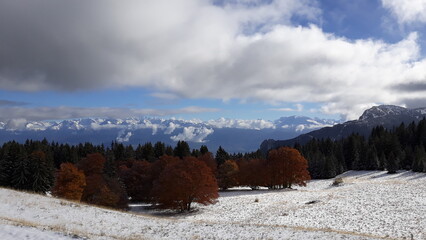 Randonnée le 11/11/2023 dans le Vercors avec les premières neiges, sur le plateau de la Molière,...
