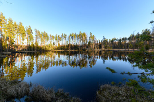Pictures from Finlands nature