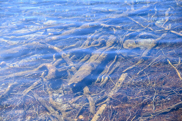 Pictures from Finlands nature