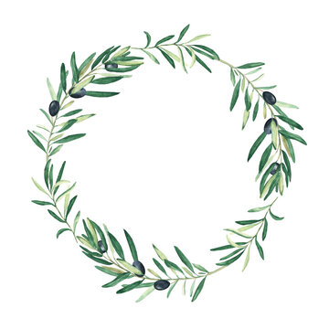 Watercolor olive tree wreath with black olives. Isolated on white background. Hand drawn botanical illustration. Can be used for cards, logos and food design.