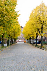 Autumn in Berlin
