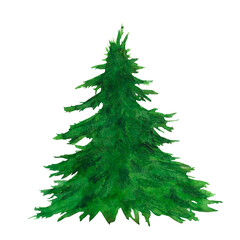 Watercolor illustration Christmas tree. Winter holiday clip art, evergreen pine. Xmas and New Year green conifer plant elements isolated on white background