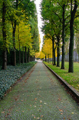 Autumn in Berlin