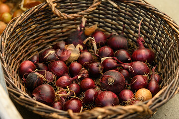 Old wicker basket with red and yellow onions