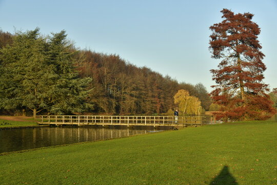 L'arbre au feuillage pourpre sous la lumi&egrave;re du coucher de soleil en fin d'automne au parc de Tervuren &agrave; l'est de Bruxelles 