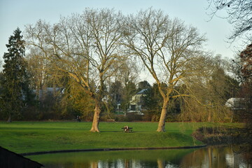 Les arbres sous le coucher de soleil le long d'un des étangs du parc de Tervuren à l'est de Bruxelles 