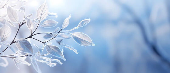 Winter wallpaper background, with frozen leaves and snow, empty copy space 