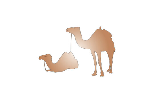 Vector illustration of pair of desert camels. White background.
