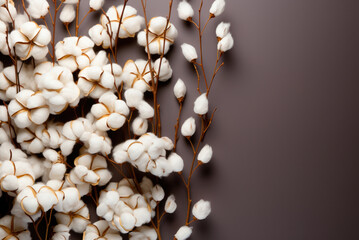 Branch with white fluffy cotton flowers on a brown background. Delicate, light, beautiful cotton background. Natural organic fiber, agriculture, cotton seeds, raw materials for fabric production