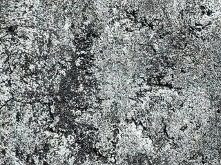 Grey concrete dirty vintage background burnt garbage wall texture Polished grey concrete floor texture. Texture, wall, concrete background. wall fragment with scratches and cracks, Grunge Dust