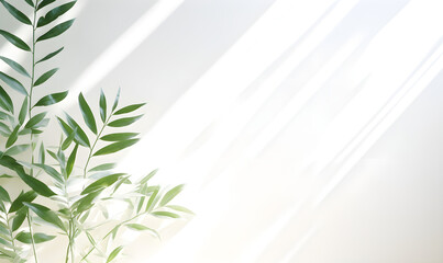 Elegant Shadows: Soft Plant Silhouettes on a Minimalist White Background