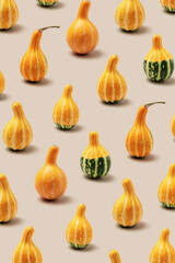 Minimal pattern of Decorative pumpkins on beige. Stylish aesthetic photo, autumn season natural plants, Halloween and Thanksgiving trend holiday background. Many gourds or squashes, composition