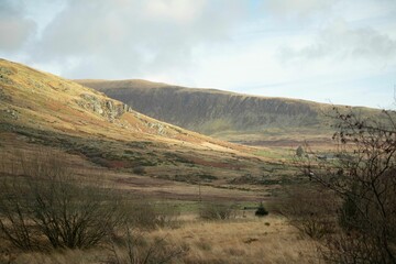Fototapeta na wymiar Snowdonia landscape of green hills with wild plants in Wales with blue sky