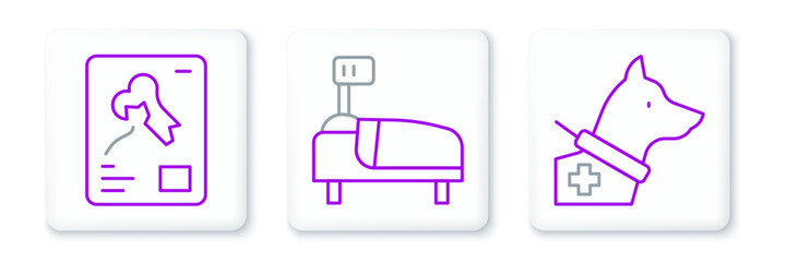 Set line Guide dog, X-ray shots and Hospital bed icon. Vector
