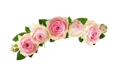 Fotobehang Small pink rose flowers in a floral arrangement isolated on white or transparent background © Ortis