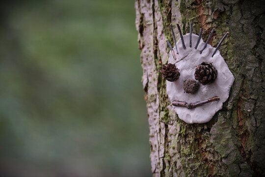 Baumgesicht am Stamm eines Baumes im Wald