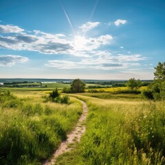 Obraz premium Fields in the sun