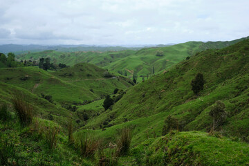 Fototapeta na wymiar landscape with hills and cloudy sky in New Zealand