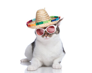 funny little metis cat wearing mexican sombrero with sunglasses