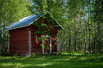 Wooden house surrounded by dense trees