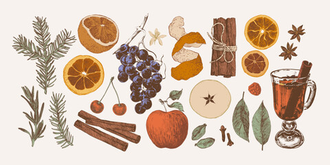 Hand drawn collection of mulled wine ingredients. Happy holidays festive elements. Autumn mood illustration