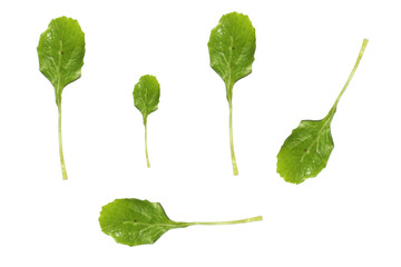 Natural Green spinach leaves, isolated on Transparent background.