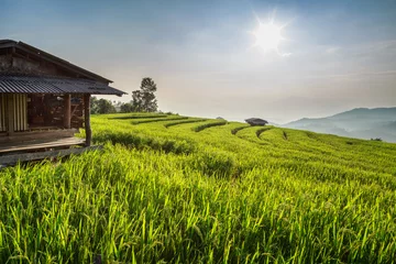 Fototapeten Terraced rice field on Mountain, Chiangmai Province, Northern of Thailand © Nastasa