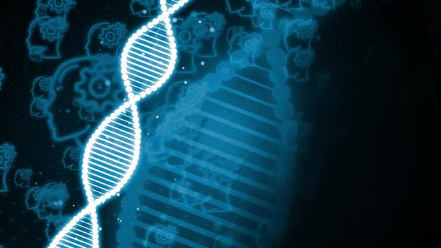  DNA helix with depth of field rotating. Source science animation with copy space. Genome futuristic footage. Conceptual design of genetic information and head icon animation with DNA animation.