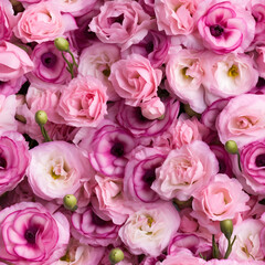 eustoma as a background, white, lilac and pink flowers. floral backdrop. bouquet, top view.