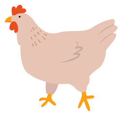 Domestic chickens PNG element. Farming illustration. Hand drawn.