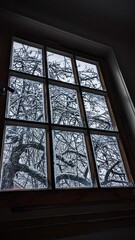 Exploring winter from window
