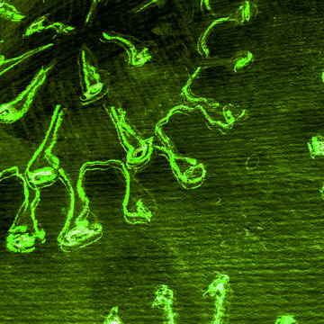 Jade Cell Closeup. Emerald Cancer Cells Attack. Green Macrophage T Cell. Virus Cute. Neon Virus. Macromolecular Structure. Cancer Dna. Bacteria Molecules.