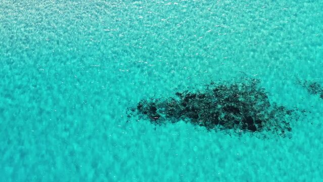 plage de la Pelosa dans le nord de la Sardaigne (Italie)
