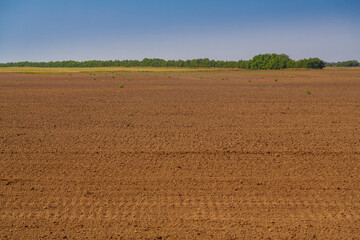 A plowed field prepared for planting crops.