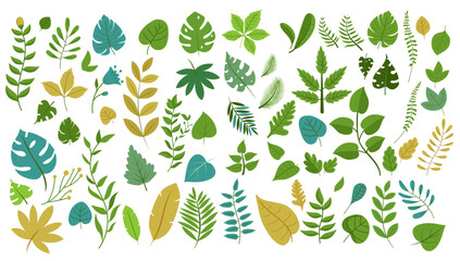 Leaves graphic elements - Vector illustration of various leaf shapes in different green and orange colours. Flat design on white background