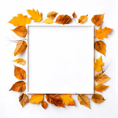fall leaves in a square frame