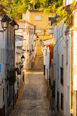 Fototapeta na wymiar Beautiful alley in Abdet town, Alicante (Spain).