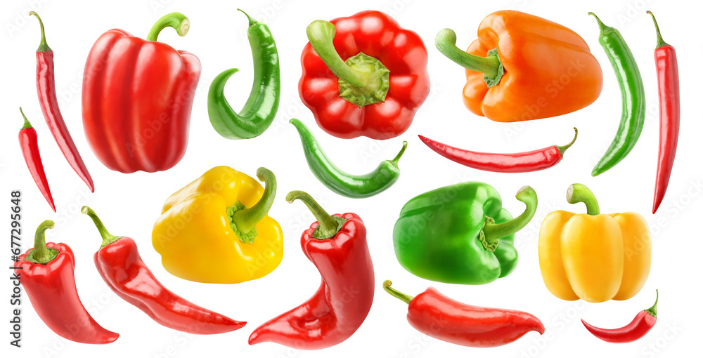 Poster various species of peppers, collection cutout