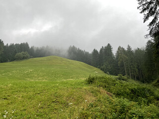 morning in the mountains, Italian alps 