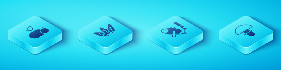 Set Isometric Apple, Leaf, Mushroom and No fish icon. Vector