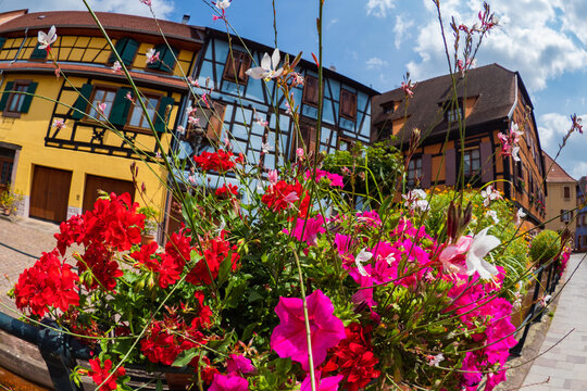 the colorful half timbered building in the streets of the beautiful Alsace village Riquewihr
