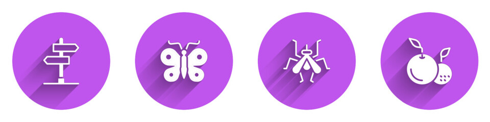 Set Road traffic sign, Butterfly, Mosquito and Fruit icon with long shadow. Vector